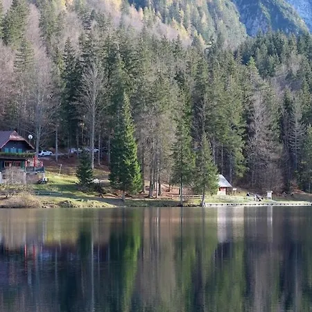 Apartment Betulle 1 Camporosso (Tarvisio)